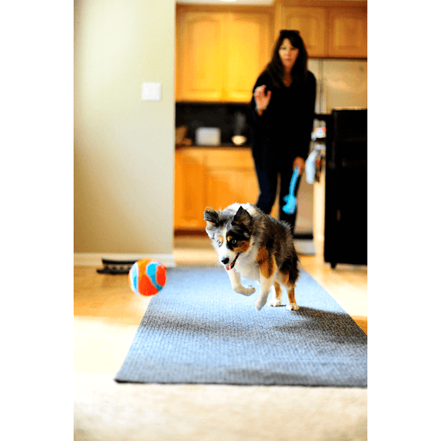 Chuckit! – Indoor Ball